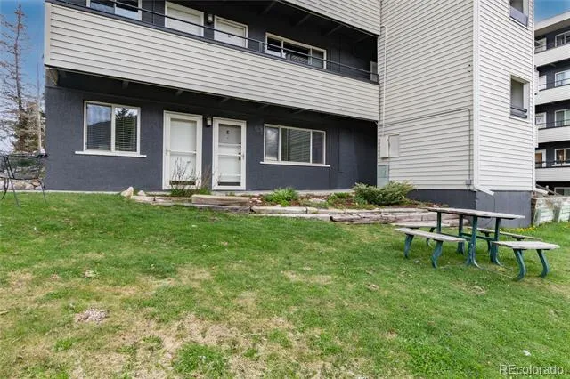 370 E La Bonte Street #E Dillon, CO 80435