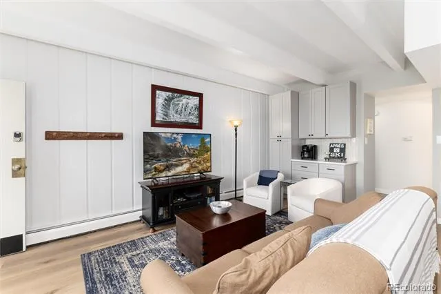 370 E La Bonte Street #E Dillon, CO 80435