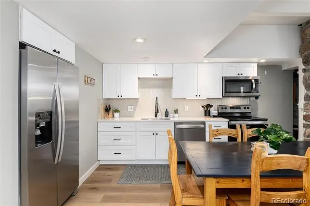 370 E La Bonte Street #E Dillon, CO 80435