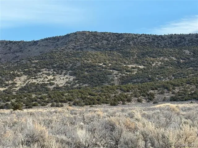 Lot 54 Old Stage Coach Road San Luis, CO 81152
