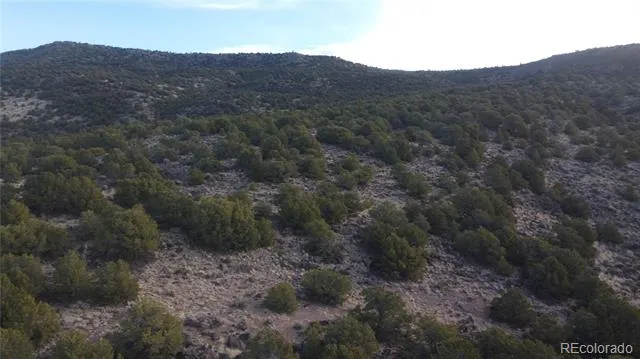 Lot 54 Old Stage Coach Road San Luis, CO 81152