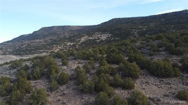 Lot 54 Old Stage Coach Road San Luis, CO 81152