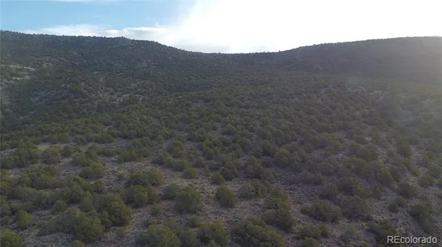 Lot 54 Old Stage Coach Road San Luis, CO 81152
