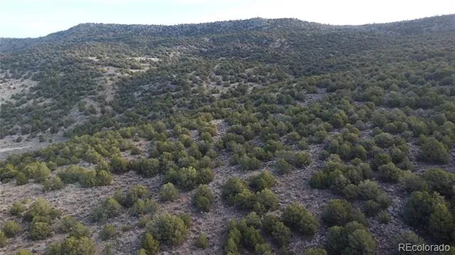Lot 54 Old Stage Coach Road San Luis, CO 81152