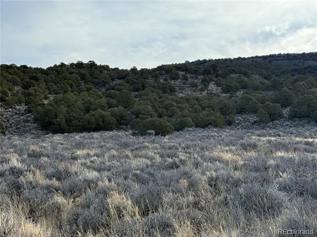 Lot 54 Old Stage Coach Road San Luis, CO 81152