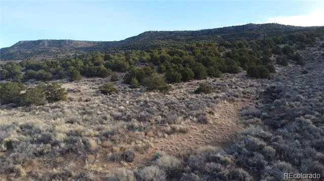 Lot 54 Old Stage Coach Road San Luis, CO 81152