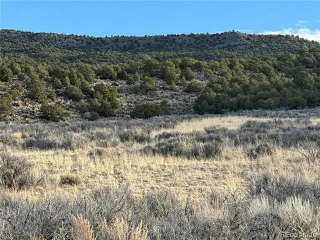 Lot 54 Old Stage Coach Road San Luis, CO 81152