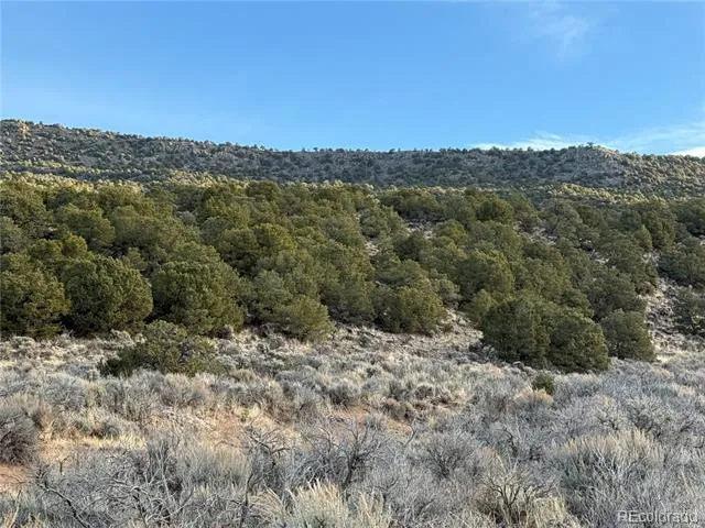 Lot 54 Old Stage Coach Road San Luis, CO 81152