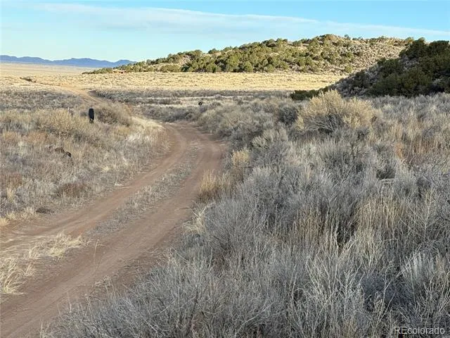 Lot 54 Old Stage Coach Road San Luis, CO 81152