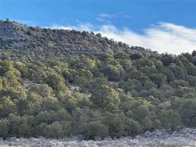 Lot 54 Old Stage Coach Road San Luis, CO 81152