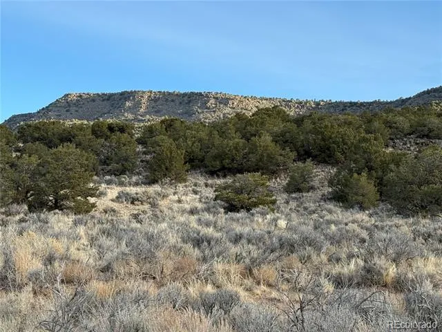 Lot 54 Old Stage Coach Road San Luis, CO 81152