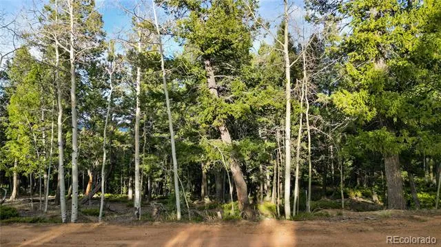 68 Yale Place Woodland Park, CO 80863