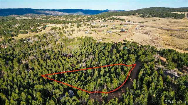 68 Yale Place Woodland Park, CO 80863
