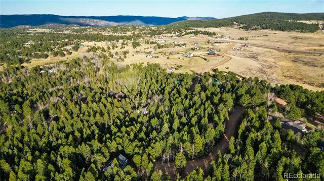 68 Yale Place Woodland Park, CO 80863