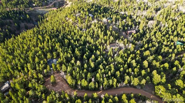 68 Yale Place Woodland Park, CO 80863