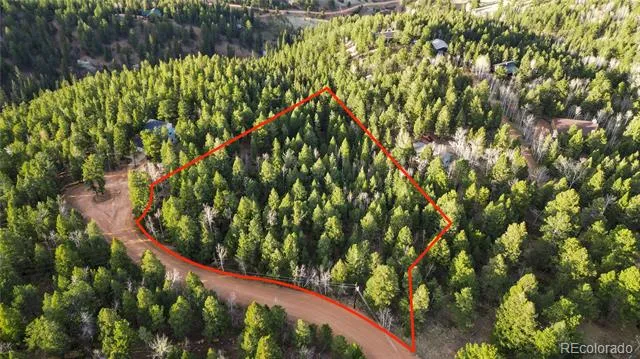 68 Yale Place Woodland Park, CO 80863