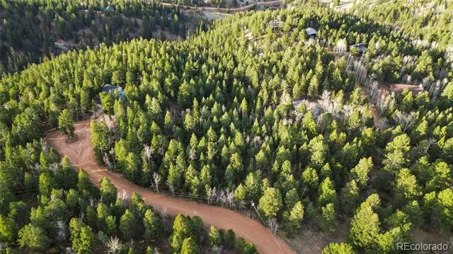 68 Yale Place Woodland Park, CO 80863