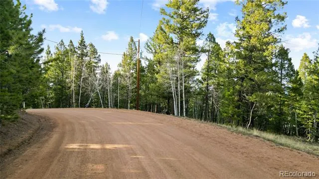 68 Yale Place Woodland Park, CO 80863