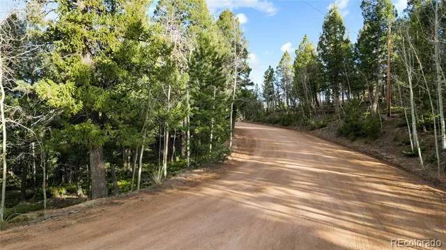 68 Yale Place Woodland Park, CO 80863