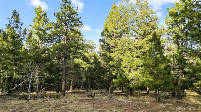 68 Yale Place Woodland Park, CO 80863