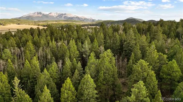 68 Yale Place Woodland Park, CO 80863
