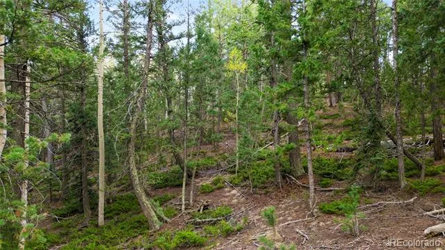68 Yale Place Woodland Park, CO 80863