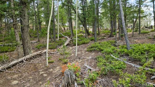 68 Yale Place Woodland Park, CO 80863