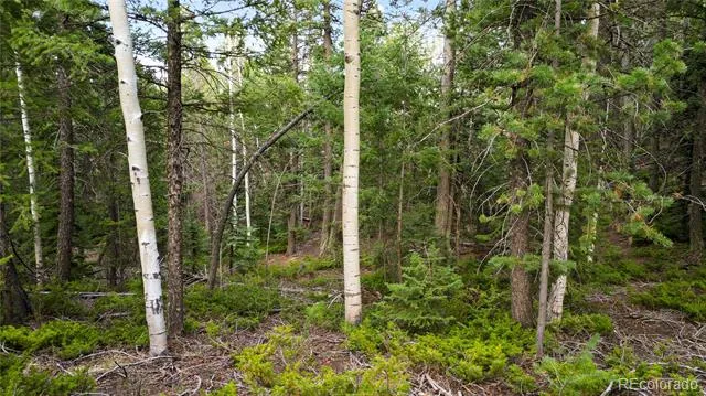 68 Yale Place Woodland Park, CO 80863