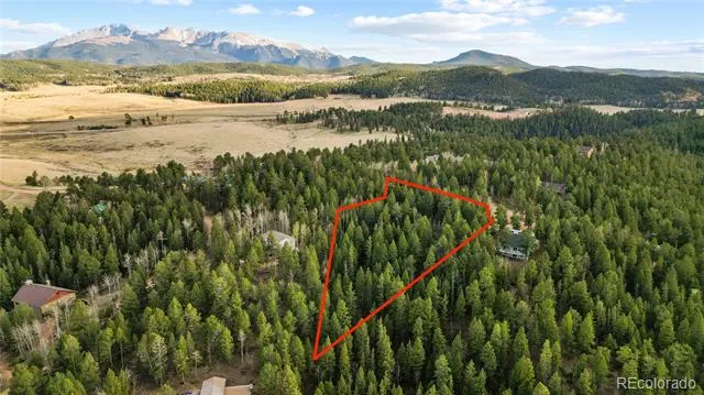 68 Yale Place Woodland Park, CO 80863