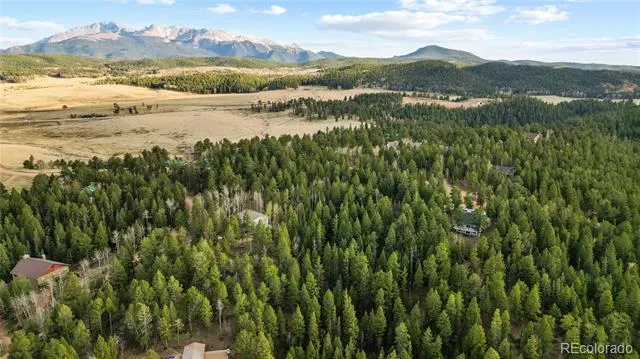 68 Yale Place Woodland Park, CO 80863