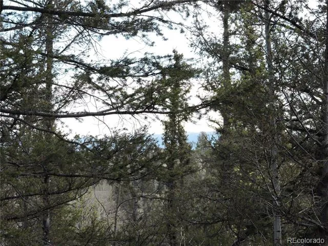 258 Old Squaw Road Como, CO 80432