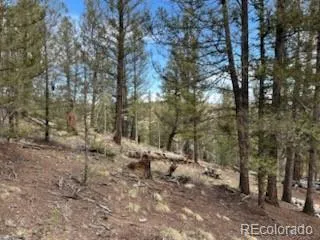 258 Old Squaw Road Como, CO 80432