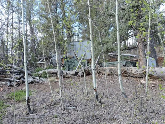 258 Old Squaw Road Como, CO 80432