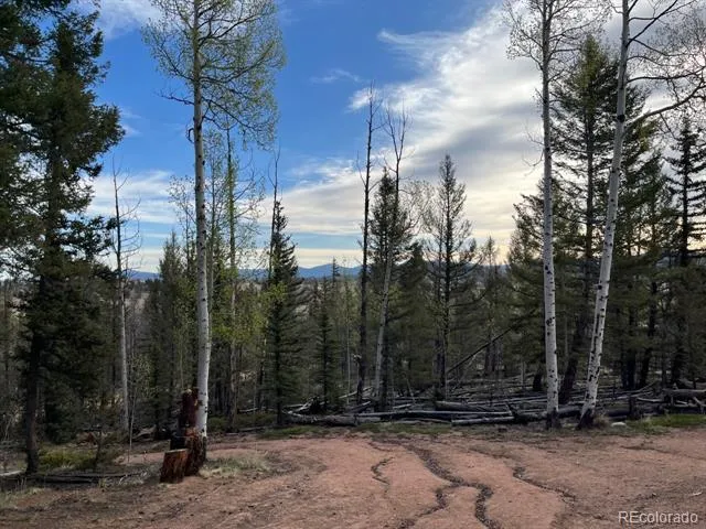 258 Old Squaw Road Como, CO 80432