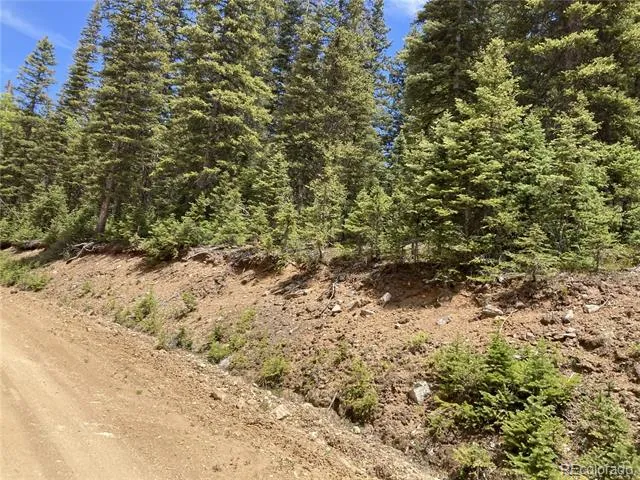 Lot 6614 Starkweather Road San Luis, CO 81152
