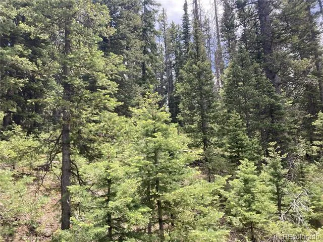 Lot 6614 Starkweather Road San Luis, CO 81152