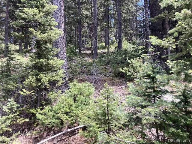 Lot 6614 Starkweather Road San Luis, CO 81152