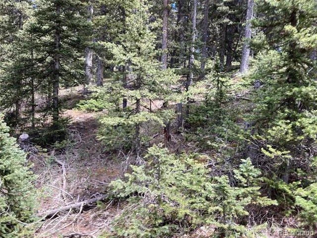 Lot 6614 Starkweather Road San Luis, CO 81152