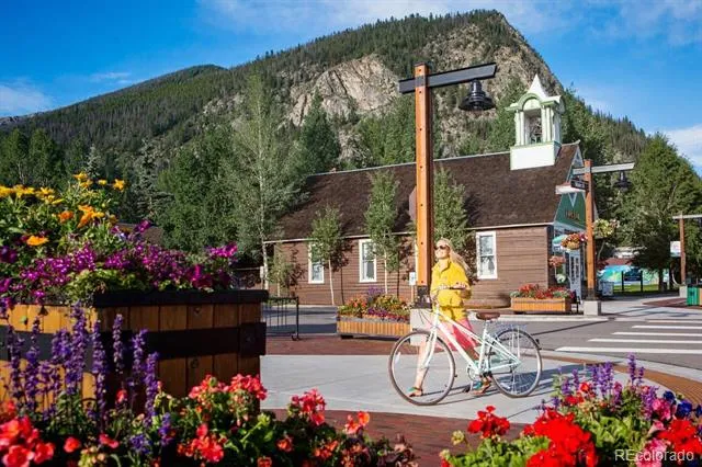 452 Teller Alley Frisco, CO 80443