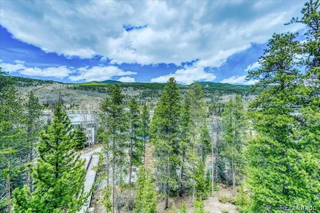 0117 Lake Ridge Circle #1863 Keystone, CO 80435
