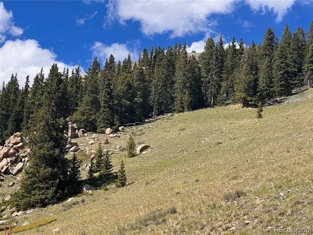 10448 Bank Statement Leadville, CO 80461