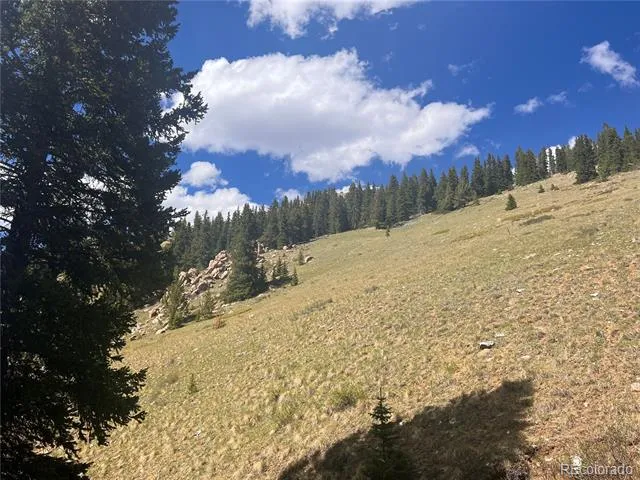 10448 Bank Statement Leadville, CO 80461