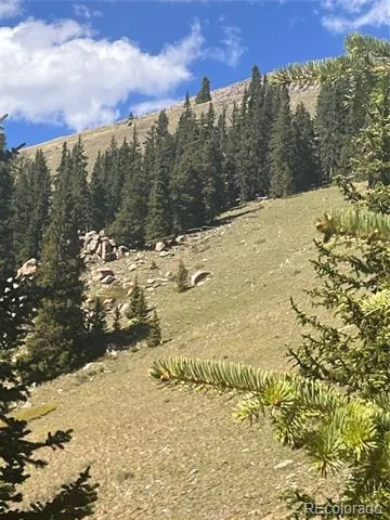 10448 Bank Statement Leadville, CO 80461