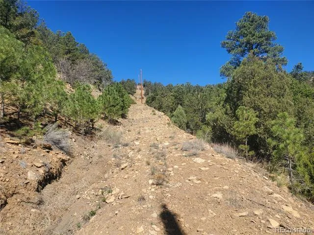 County Rd 23.3 Weston, CO 81091