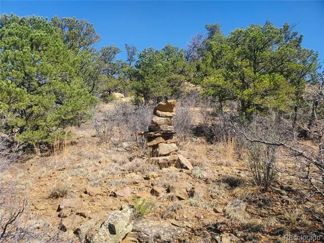 County Rd 23.3 Weston, CO 81091