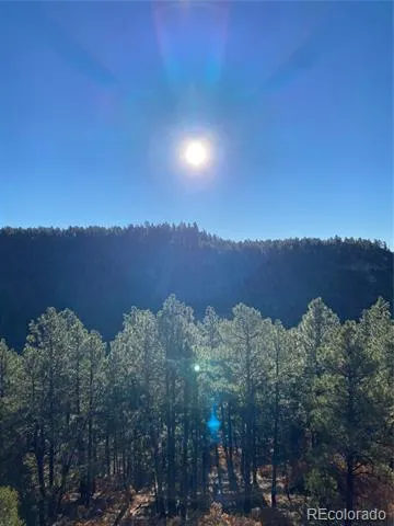 County Rd 23.3 Weston, CO 81091
