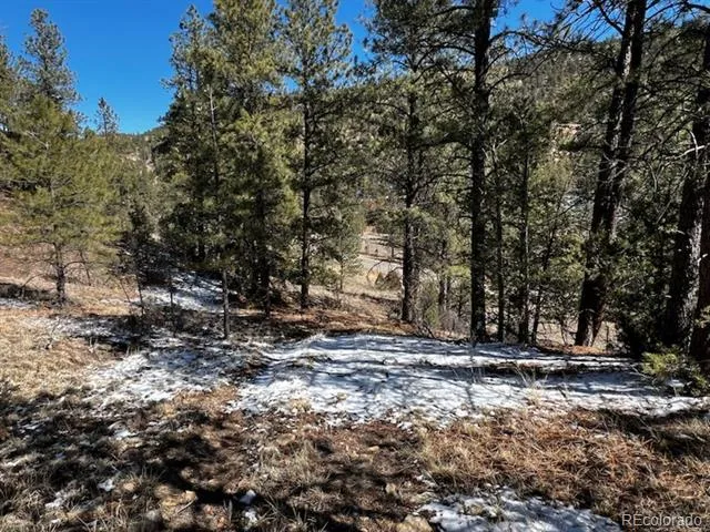 County Rd 23.3 Weston, CO 81091