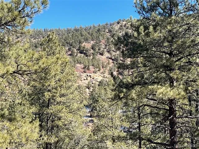 County Rd 23.3 Weston, CO 81091