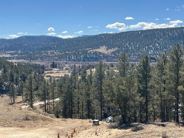 County Rd 23.3 Weston, CO 81091