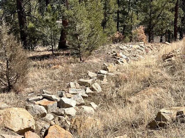 County Rd 23.3 Weston, CO 81091
